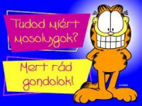 /album/fenykepgaleria/garfield-jpg/